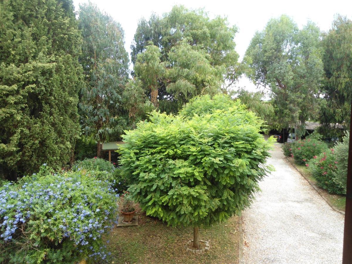 Agriturismo Le Pescine Vada Dış mekan fotoğraf